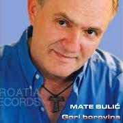 Mate Bulic