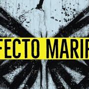 Efecto Mariposa