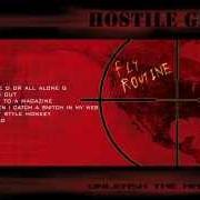 Hostile Groove