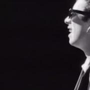 Shane Macgowan