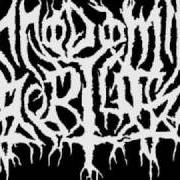 Anno Domini Mortus