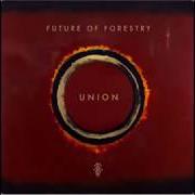 Future Of Forestry