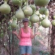 Gourds