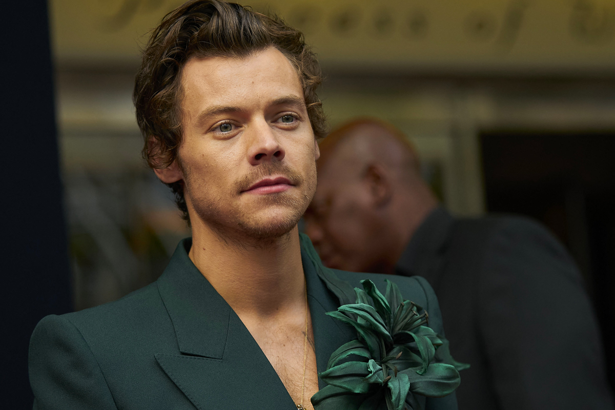 Harry Styles è l'uomo più bello del mondo. E chi se ne frega