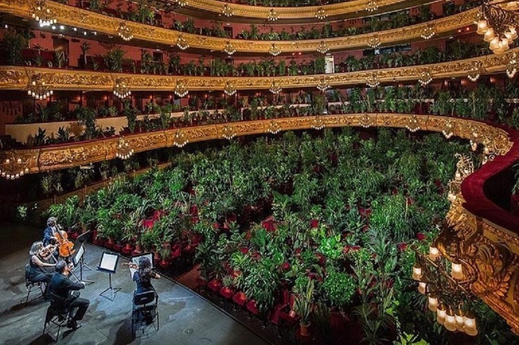 Musica per gli alberi: la rivoluzione del mondo vegetale Musica per gli alberi: la rivoluzione del mondo vegetale