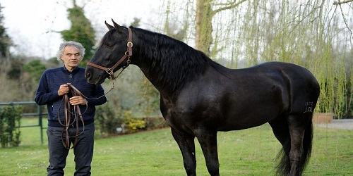 Andrea Bocelli: incidente a cavallo