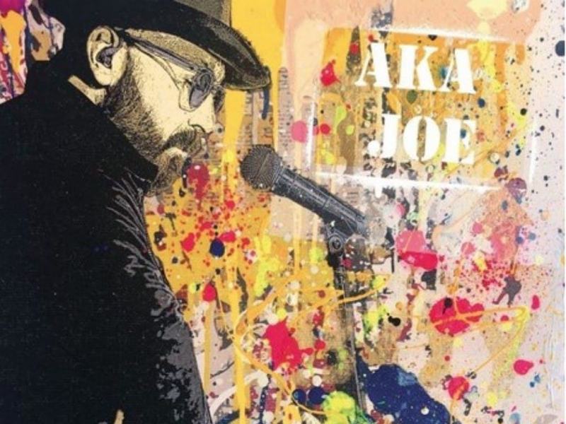 Joe Bastianich all'album d'esordio "AKA Joe": l'occasione ghiotta di insultarlo Joe Bastianich all'album d'esordio "AKA Joe": l'occasione ghiotta di insultarlo