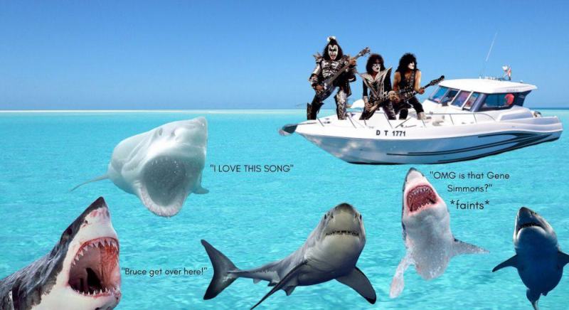 Kiss: a novembre un concerto in mare aperto tra gli squali Kiss: a novembre un concerto in mare aperto tra gli squali